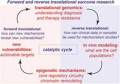 Epigenetic determinants of fusion-driven sarcomas: paradigms and challenges